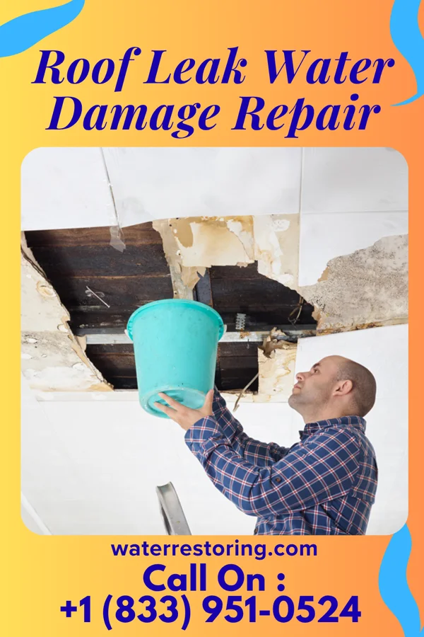 Roof Leak Water Damage Repair in Lynnville, IL